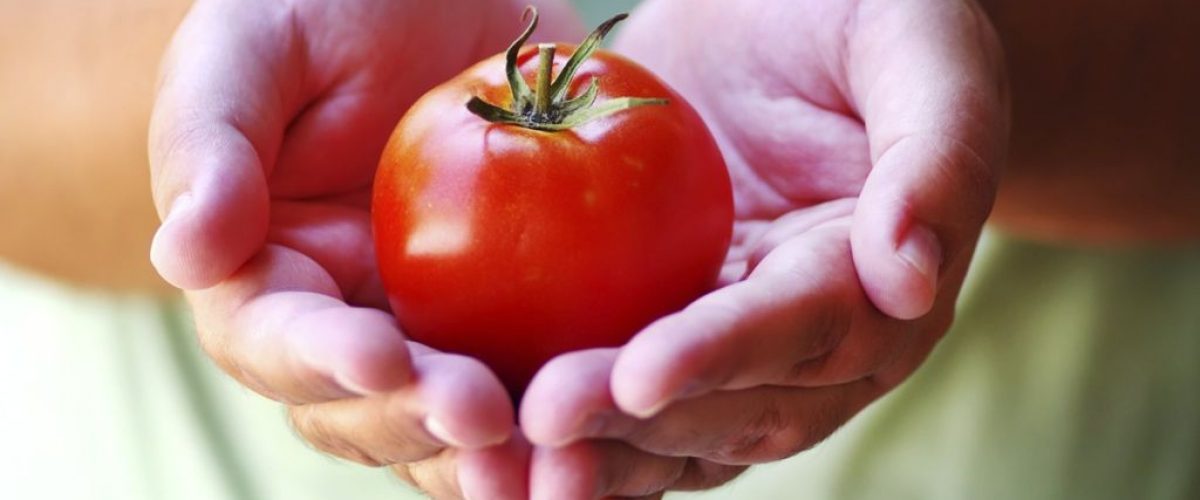 How Does Lycopene Protect Against Cancer?